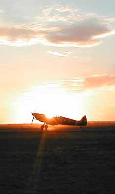 Spitfire photo